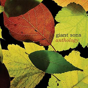 Fields And Foothills by Giant Sons