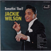 Rebecca by Jackie Wilson