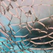 Natasha F Agrama Group