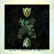 Structures In Nature