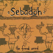 Bridge Was You by Sebadoh