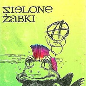 Tato by Zielone Żabki