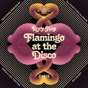 Flamingo at the Disco