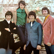 The Tremeloes