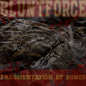 Fragmentation of Bones