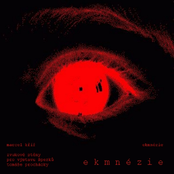 Ekmnézie
