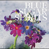Arashigaoka by Blue Sugar Spirits