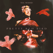 Tia Wood: Pretty Red Bird