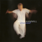The American Girl by Peter Hammill