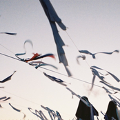 split w/ of asphodel