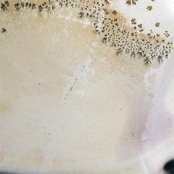 Sympathetic Vibrations