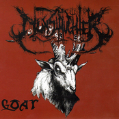 NunSlaughter: Goat