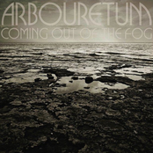 Arbouretum: Coming Out of the Fog