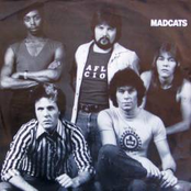 madcats