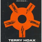 Nothing Like A Crime by Terry Hoax