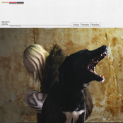 Varias Paredes Pintadas