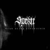 The Near Death Experience