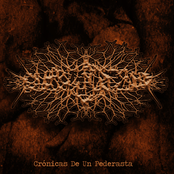 Crónicas De Un Pederasta