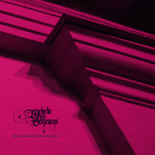 The Persecution Of Escapism