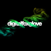 Digitalfoxglove