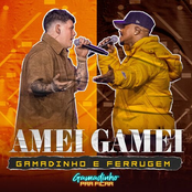 Amei, Gamei (Ao Vivo)