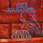 YEDI KARANFIL 1