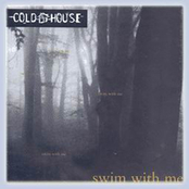 Fire In The Rain by Cold House