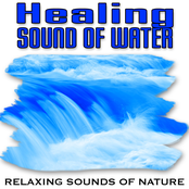 Healing Sound of Water (Nature Sounds)