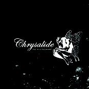 Noize Guerilla by Chrysalide