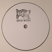 david woods