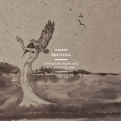 Premature Moon And The Shooting Star