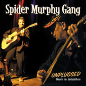 Spann Stomp by Spider Murphy Gang