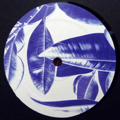 Spring Theory Reworks