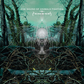 The Sound Of Animals Fighting: The Ocean And The Sun