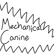 Where Did Things Go Wrong