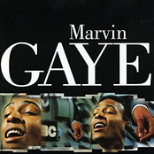 Master Series: Marvin Gaye