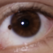 Tive a Impressão Que Essa Noite Os Anjos Me Abandonaram