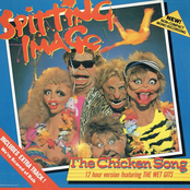 The Chicken Song