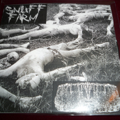 Snuff Farm / Butyric Fermentation Abuse