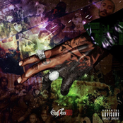 Tugg Melodies Ape Colours