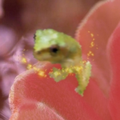 Another Boring Day, Sounds Bad