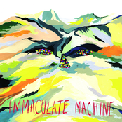 You Destroyer by Immaculate Machine