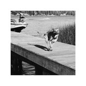 Charleston Girl (Single)
