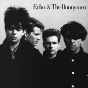 echo & the bunnymen