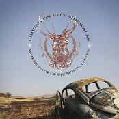 Where Angels Crowd to Listen