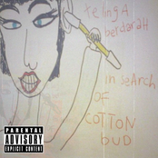 In Search of Cotton Bud