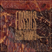 The Fossils: Flesh Hammer