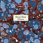 Dream Diary