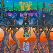 Behold! Visions from the Scrying Pool!