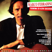 Teorema Ed Altri Successi